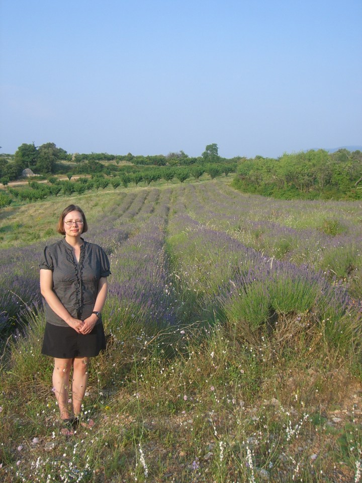 mas des deux puits lavender fields