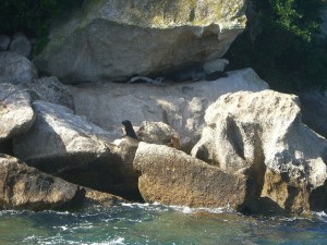 Abel Tasman National Park Hike