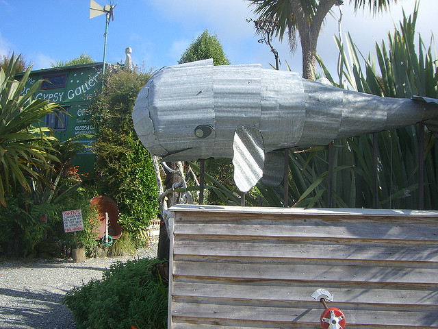lost gypsy gallery papatowai new zealand