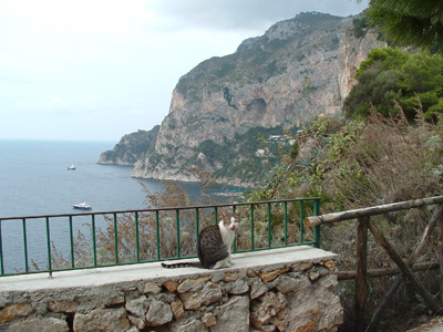 honeymoon (552)for website