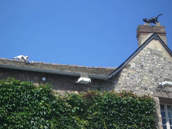 D&amp;M0622 596