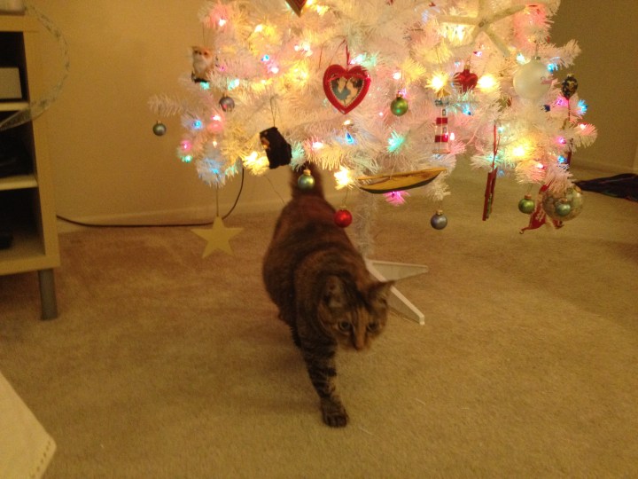 IMG_9873