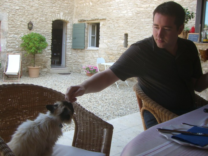 La chaton du maison! mas des deux puits