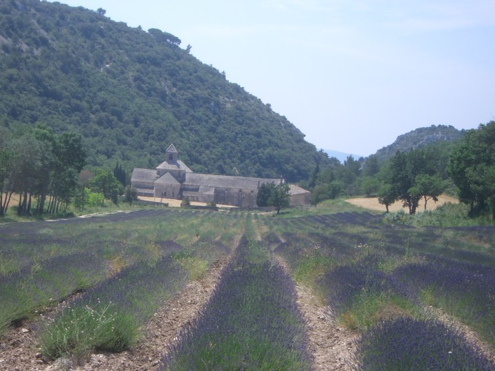 abbaye de senanque