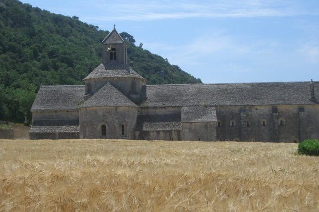 abbaye de senanque