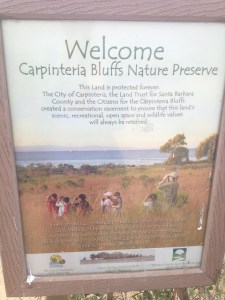 carpinteria seal sanctuary beach