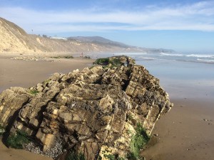 carpinteria seal sanctuary