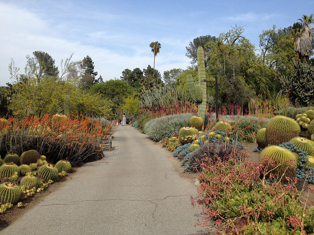 Huntington Library, Art Collection, and Botanical Gardens
