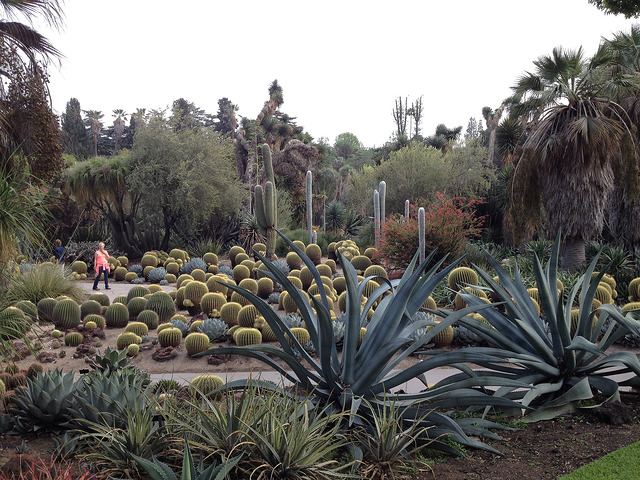 Huntington Library, Art Collection, and Botanical Gardens