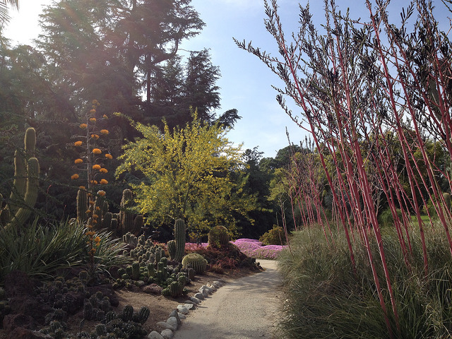 Huntington Library, Art Collection, and Botanical Gardens