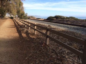 carpinteria seal sanctuary beach