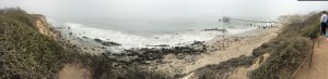 carpinteria seal sanctuary beach