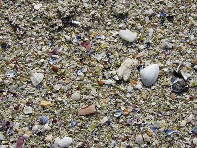 Haukland Beach