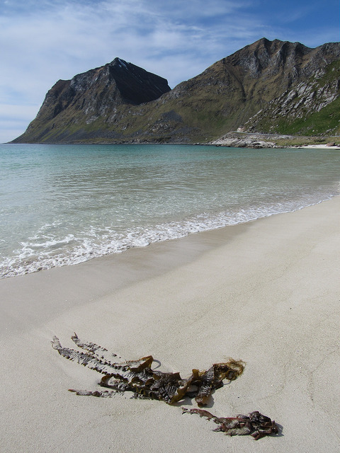 Haukland Beach