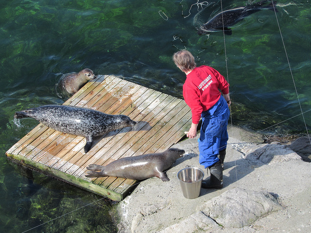Kabelvåg Lofoten aquarium