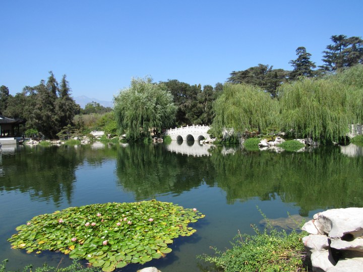 Huntington Library, Art Collection, and Botanical Gardens