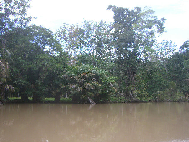 5586054537_49d0b9de85_z (1)